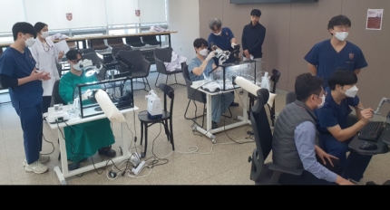 Ȼ꺴̾, 3D  ΰ غνǽ ũ 