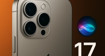 ø ؾ   ̷ 17  