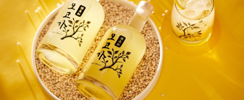 ð MZ մ١ ð븮, ̿   