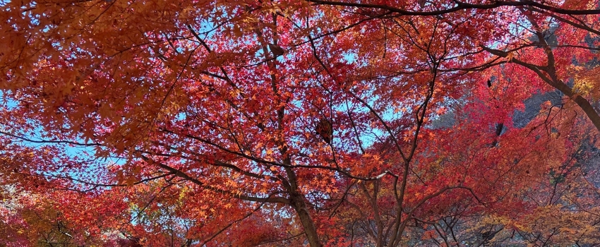 Ͽ ̴ ꡦ ǳ    ߴ١